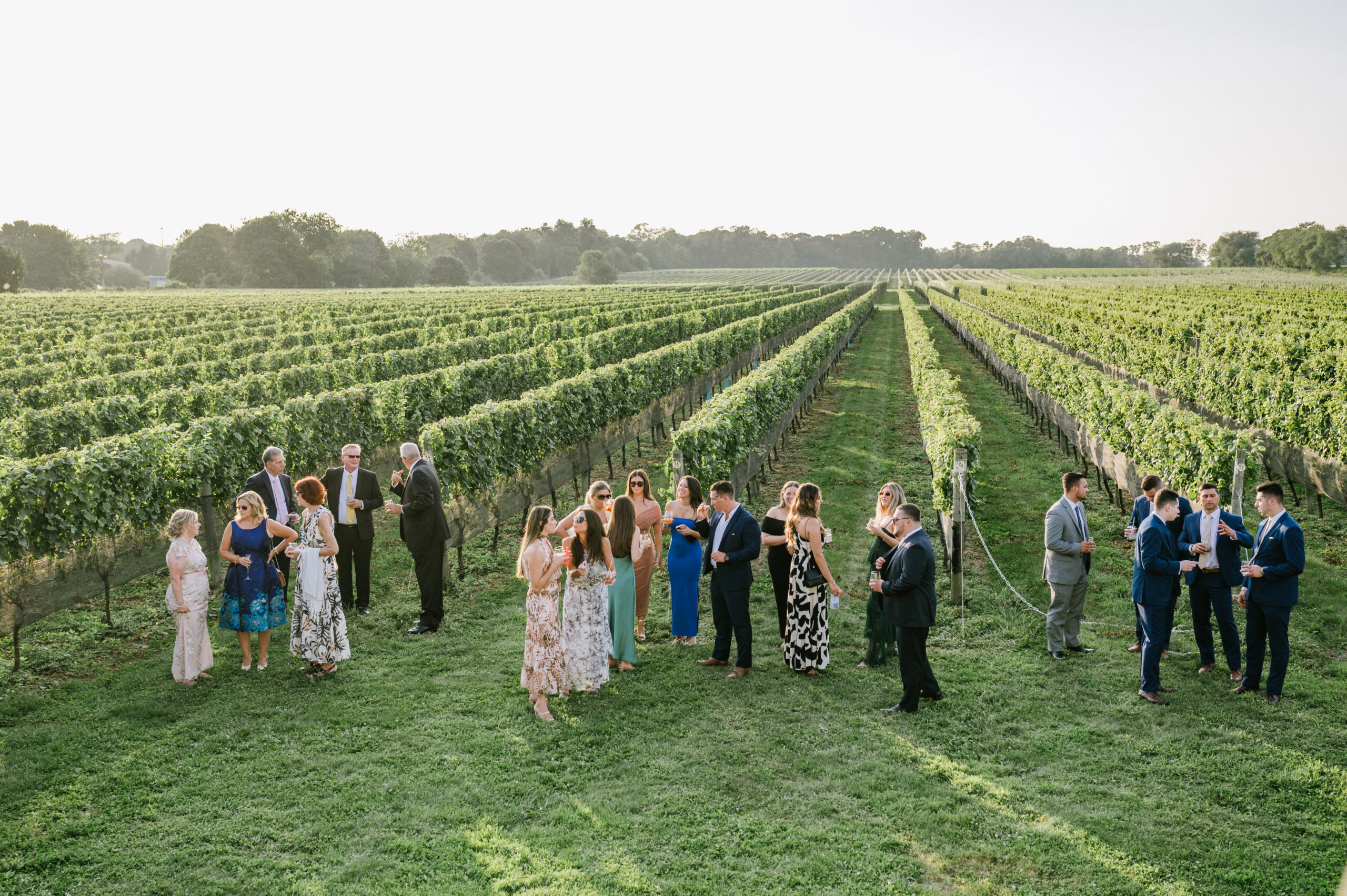 Guests mingling during cocktail hour in the vineyards at Bedell Cellars, a picturesque Long Island wedding venue in North Fork